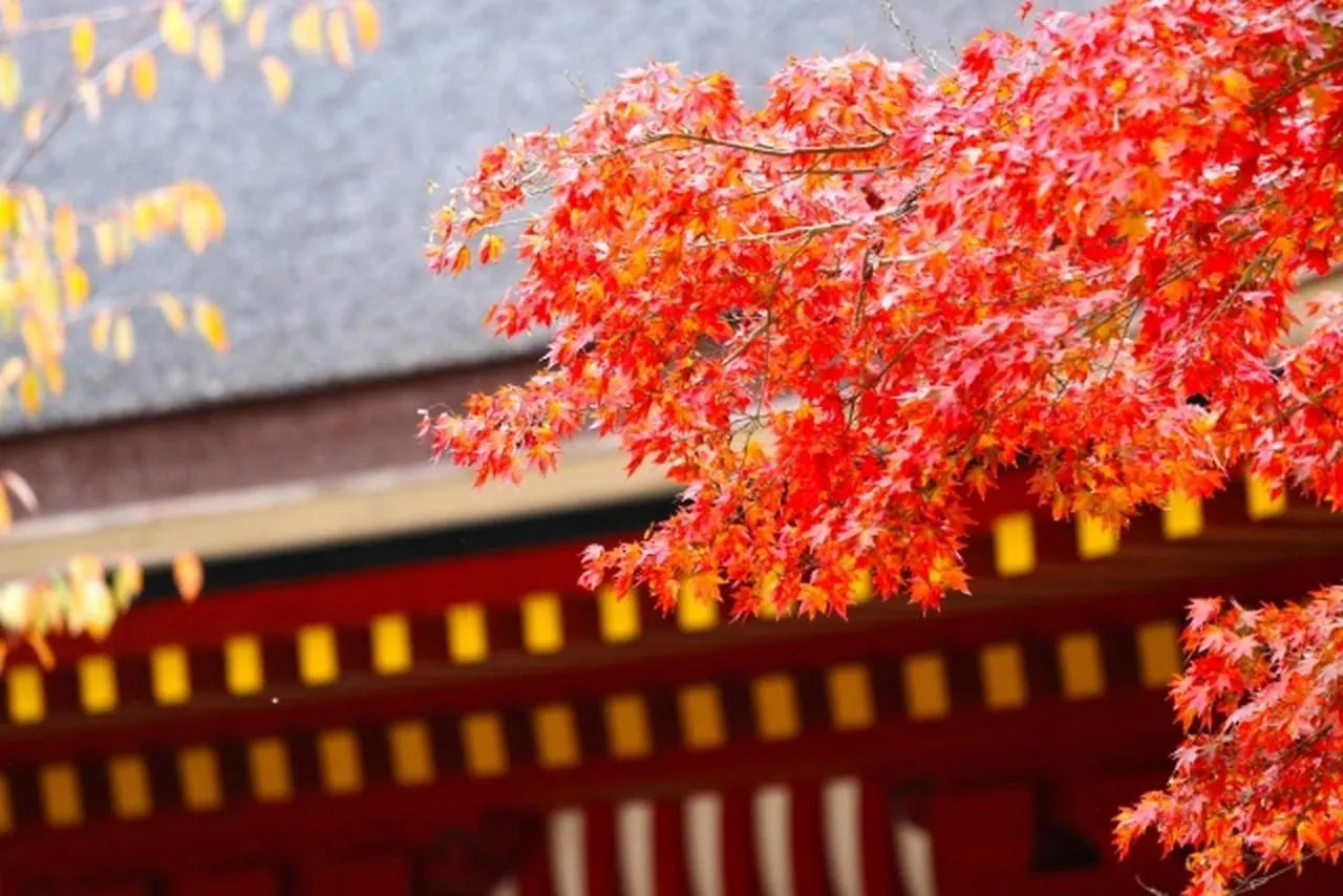 Stay Sakura Kyoto Gion Miyagawacho Aparthotel